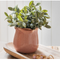 Blomster og Planter