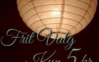Frit Valg 5kr! - Masser ideer til at Skabe Stemning med Lys