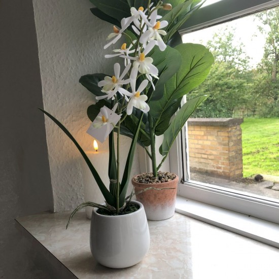 Hvid Orkide 1 stilk i hvid krukke 35 cm