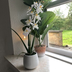 Hvid Orkide 1 stilk i hvid krukke 35 cm Hvid Orkide 1 stilk i hvid krukke 35 cm