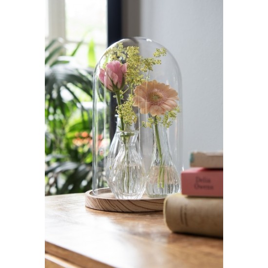 Glas kuppel H28cm Glas kuppel H28cm