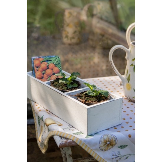 Kasse med tre rum 33x12x7 cm