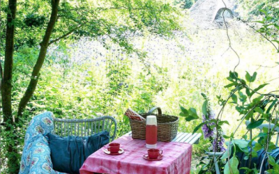 WeekendGuf - Spar MINDST 50% & Få Gratis levering - se hvordan i nyhedsbrevet! Og et Godt tilbud på Venere!