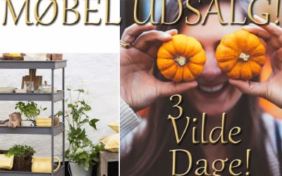 3 Dage med Vildt UDSALG på store og små MØBLER!