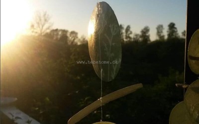 Ro - Nyheder - Lækkerier!