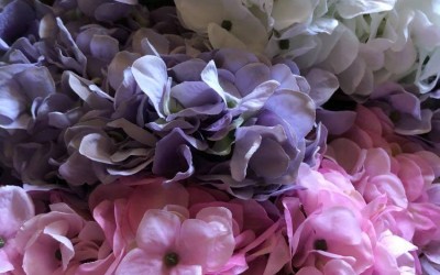 Blomster - Blomster - Blomster - Masser af Tilbud & Nyheder - Se udvalget NU