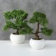 Bonzai træ i potte 33 cm  - kunstig plante