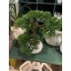 Bonzai træ i potte 33 cm  - kunstig plante