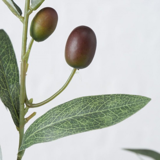 Oliven gren med bær H77cm