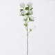 Kunstig Blomst - Snow Hortensia Gren 100 cm Kunstig Blomst - Snow Hortensia Gren 100 cm