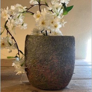 Krukke lava moss 