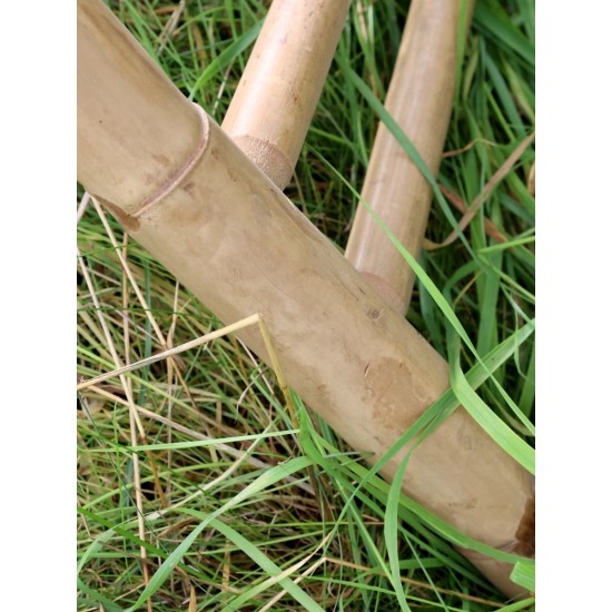 Sæt Lyon Stole bambus B50cm