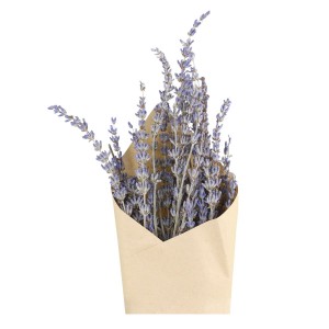 Fleur tørret lavendel H60cm