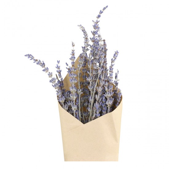 Fleur tørret lavendel H60cm