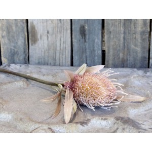Fleur Protea Kunstig Blomst 60 cm Fleur Protea Kunstig Blomst 60 cm
