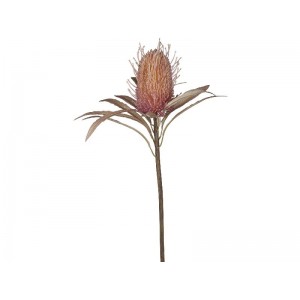 Fleur Protea Kunstig Blomst 60 cm Fleur Protea Kunstig Blomst 60 cm