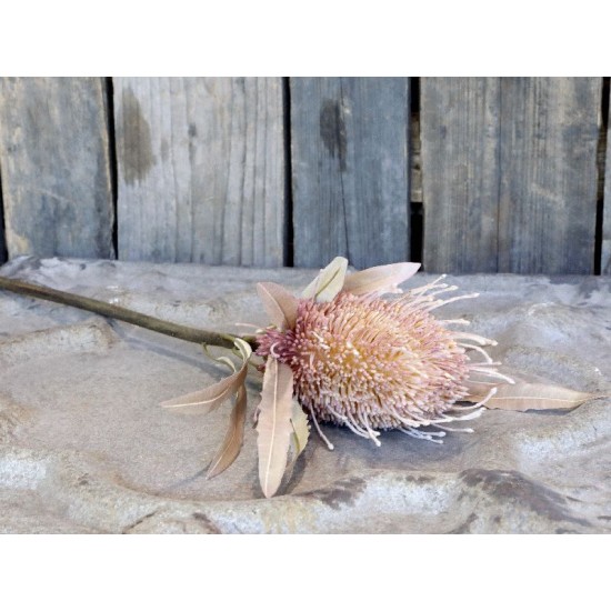 Fleur Protea Kunstig Blomst 60 cm Fleur Protea Kunstig Blomst 60 cm