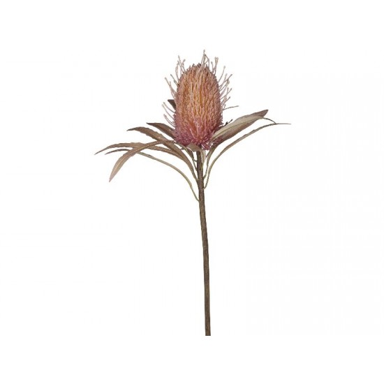 Fleur Protea Kunstig Blomst 60 cm Fleur Protea Kunstig Blomst 60 cm