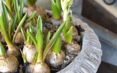 Vintage Colour - Find inspiration og Spar op til 75%