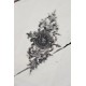 Stempel - ornament Stempel - ornament
