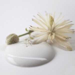 Antique Cream 2.5L Creme Kalkmaling