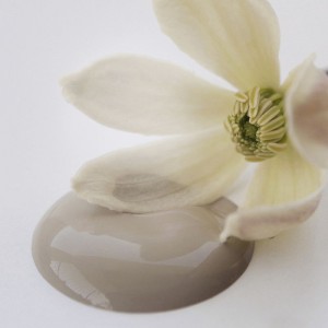 Old Beige 2.5L Brun Kalkmaling Old Beige 2.5L Brun Kalkmaling