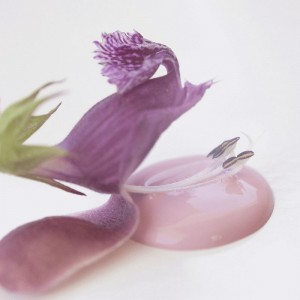 Dusty Rose 100ml Lyserød Kalkmaling