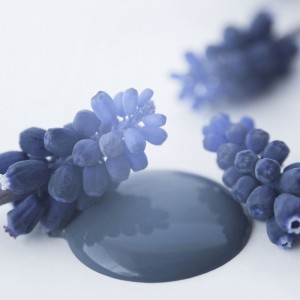 Royal Blue 100ml Blå Kalkmaling Royal Blue 100ml Blå Kalkmaling