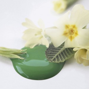 Bright Green 100ml Grøn Kalkmaling Bright Green 100ml Grøn Kalkmaling
