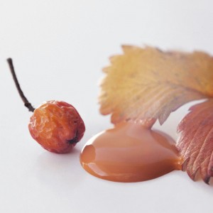 Rusty Orange 100ml Orange Kalkmaling