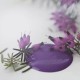 Dark Purple 100ml Lilla Kalkmaling