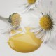 Warm Yellow 100ml Gul Kalkmaling
