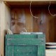 Kalkmaling - Forrest Green 100 ml Kalkmaling - Forrest Green 100 ml
