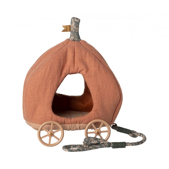Græskar karet, Mus Græskar karet, Mus