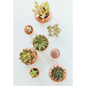 200 Kork stykker 200 Kork stykker