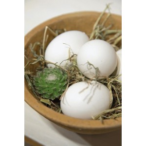 20 stk Deco Andeæg 20 stk Deco Andeæg