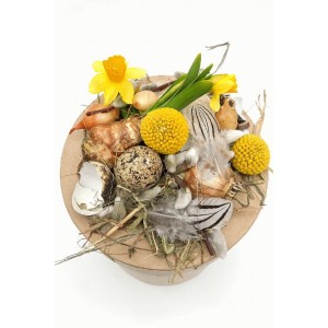 120 stk Deco Vagtel æg 120 stk Deco Vagtel æg