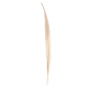 Fasan fjer beige /natur - ca 40 cm