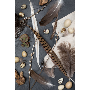 Fasan fjer beige /natur - ca 40 cm Fasan fjer beige /natur - ca 40 cm