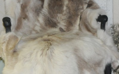 Winter Wonderland - Få en Magisk Jul