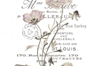 Video - Flotte resultater med transfers