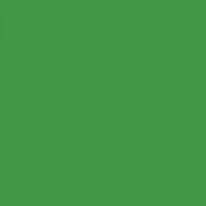 Bright Green - Grøn