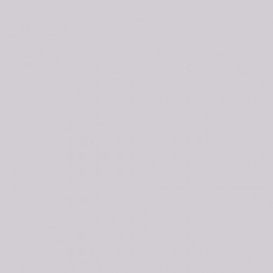 French Lavender - Lys lilla