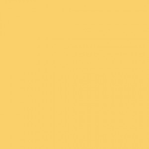 Warm Yellow - Gul