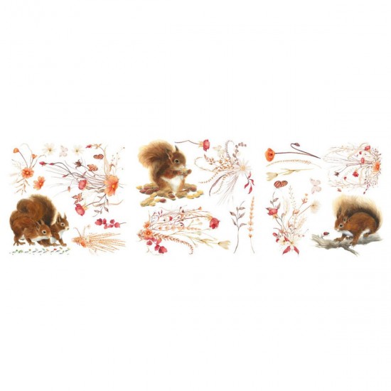 Transfer Hokus Pokus - Lets Go Nuts - 3 ark 30x30cm Transfer Hokus Pokus - Lets Go Nuts - 3 ark 30x30cm