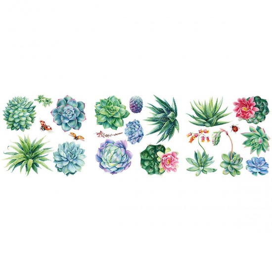 Transfer Hokus Pokus - Sheilam Succulants - 3 ark 30x30cm Transfer Hokus Pokus - Sheilam Succulants - 3 ark 30x30cm