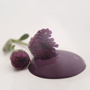 Posh Plum 100ml Mørk lilla kalkmaling