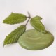 Lavish Lime 100ml Grøn kalkmaling Lavish Lime 100ml Grøn kalkmaling
