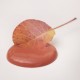 Pretty Peach 700ml Fersken farvet kalkmaling Pretty Peach 700ml Fersken farvet kalkmaling