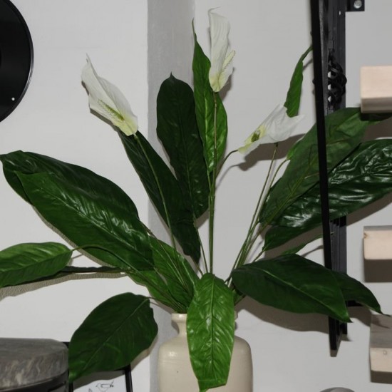 Kunstig Blomst - Stueplante med store Grønne blade og Hvid blomst 60cm høj plante Kunstig Blomst - Stueplante med store Grønne blade og Hvid blomst 60cm høj plante